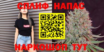 гидра Моздок