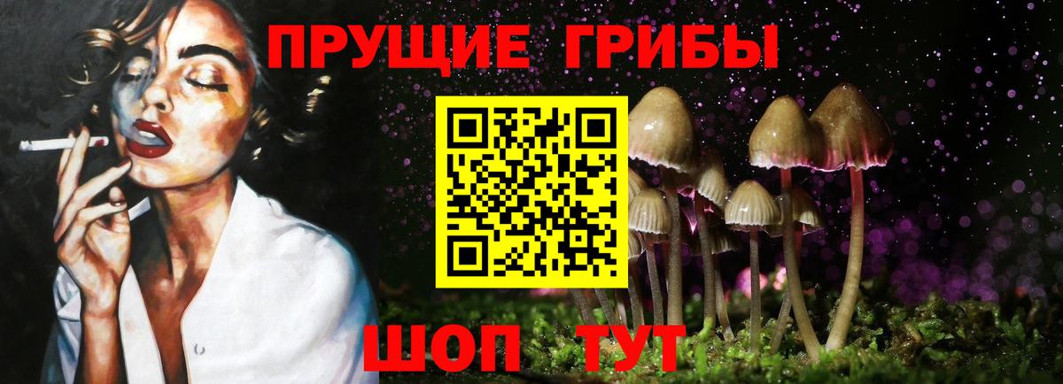 Галлюциногенные грибы Magic Shrooms  Вход с VPN  Горно-Алтайск  Галлюциногенные грибы ЛСД 